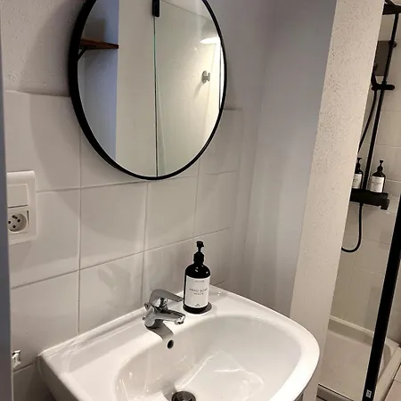 - Cathedrale ألبي