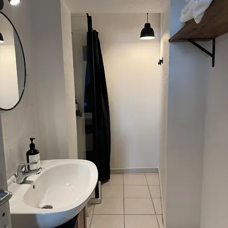 - Cathedrale * ألبي