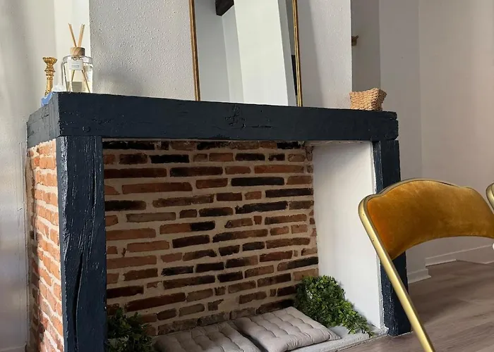 Cathedrale - Centre Historique Apartman Albi